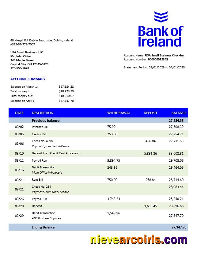 Bank of Ireland enterprise statement